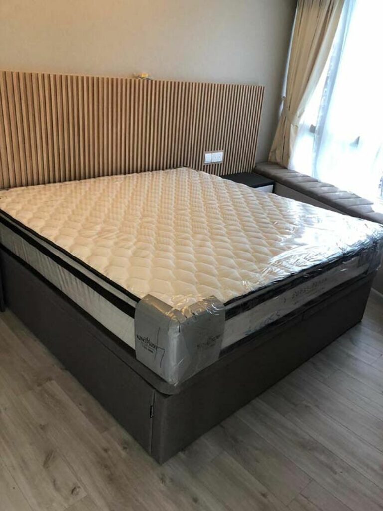 Image #12 from Bella