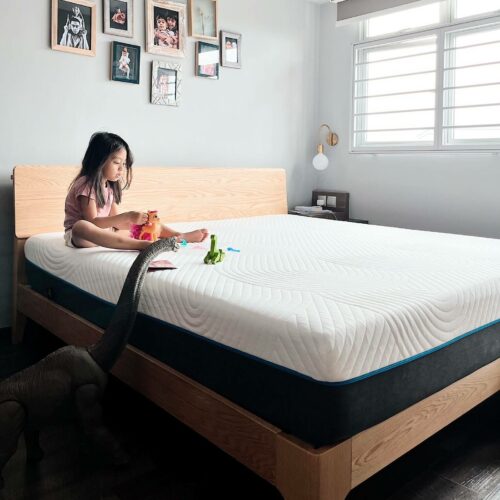 Azzah-Nuloft Mattress + Nara Bed Frame 3